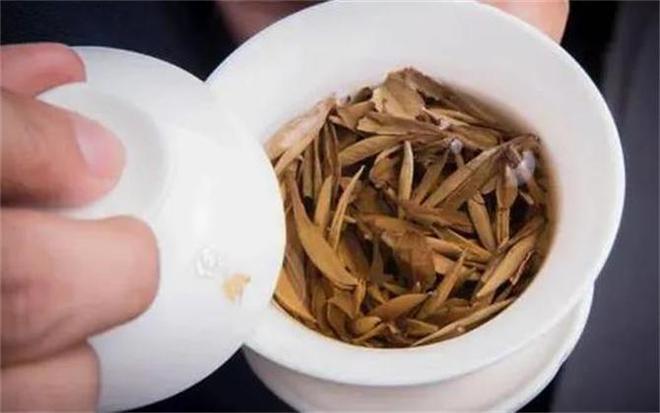 白茶是绿茶还是红茶？白茶是什么茶？茶树品种和制作工艺别搞混了(图4)