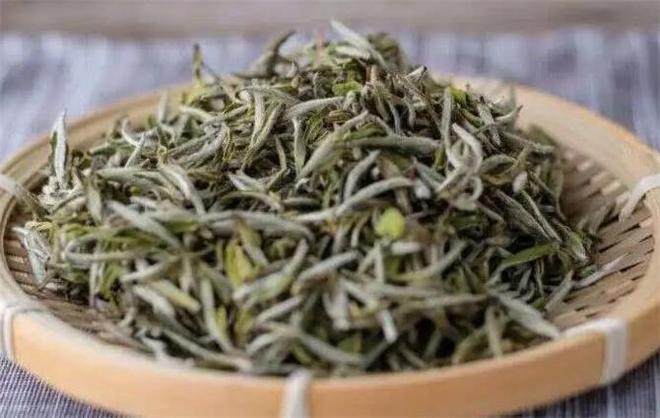 白茶是绿茶还是红茶？白茶是什么茶？茶树品种和制作工艺别搞混了(图2)